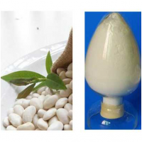 白芸豆提取物    菜豆素2% 一公斤起订
