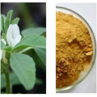 葫芦巴提取物    30:1葫芦巴粉提取物 温肾祛寒止痛