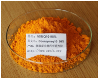 辅酶Q10