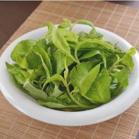 鹿舌菜