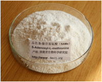 S-腺苷蛋氨酸   肝脏营养剂 预防心脏疾病