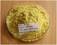 槲皮素