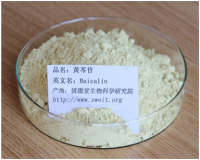 黄芩苷    抑菌利尿抗炎抗痉