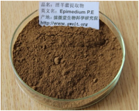 淫羊藿苷   20%含量淫羊藿单甙 1KG起 现货