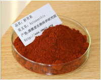 虾青素 5%含量