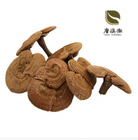 慎微堂黄灵芝( 本产品为非人工种植 )