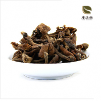 瑞富德榛蘑200g盒装